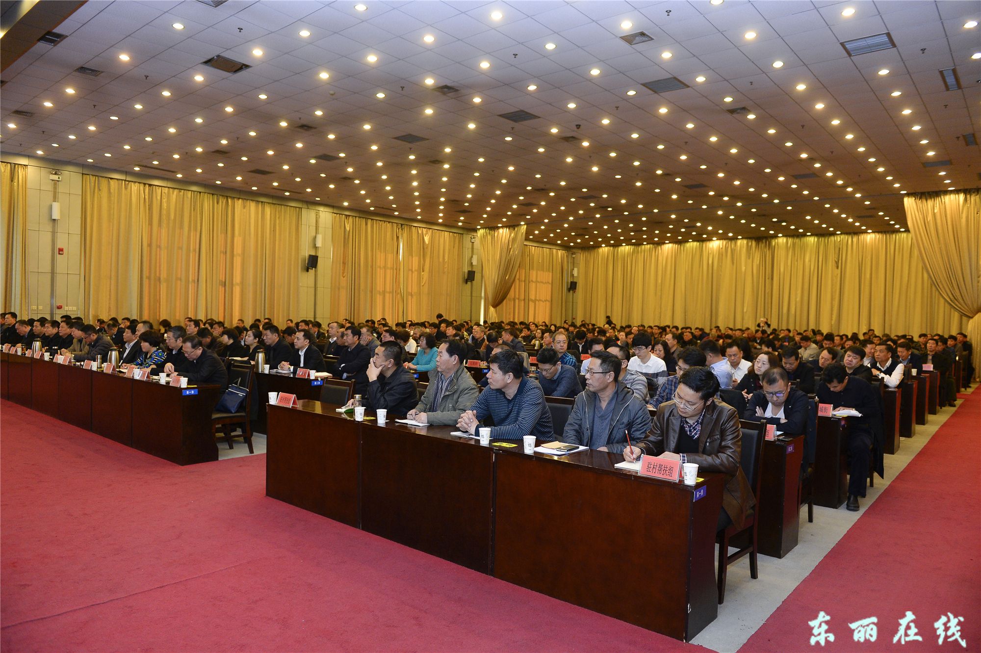 我区举办中央农村工作会议和天津市农村工作会议精神宣讲报告会 - 图片新闻 - 东丽在线